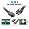 ipolex Internal Mini SAS SFF-8087 to SFF-8087 Cable, 0.8 m
