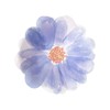 Meri Meri Flower Garden Floral Paper Plates (Pack of 8)