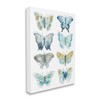 Stupell Industries Abstract Butterfly Wing Patterns Sketched Line Insects, Design