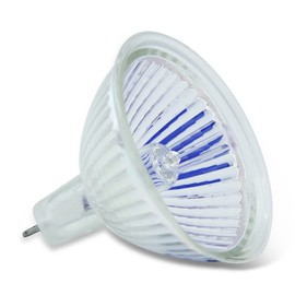 lumenivo EXN Bulb Halogen MR16 50W 2 Prong Flood Light Bulbs Indoor Track Light Halogen Bulbs, Landscape, Fiber Optic - GU5.3 2-Pin Base - 12V - 4 Pack