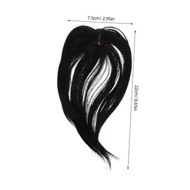 Mikinona Elegant Women's Wig Long Straight Synthetic Hair 70s/80s Punk Wig and for Parties