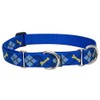 LupinePet Originals 1" Dapper Dog 15-22" Martingale Collar for Medium