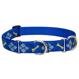 LupinePet Originals 1" Dapper Dog 15-22" Martingale Collar for Medium and Larger Dogs
