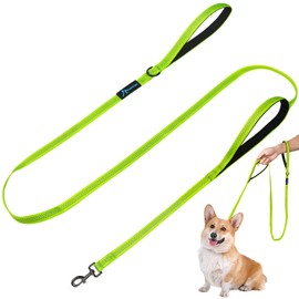 PuppyDoggy Dog Leash 6 FT Soft Padded Handle Dog Lead with 3 Reflective Thread for Large Medium Small Dogs Heavy Duty Dog Rope Double Layer Nylon Pet Leash (6 ft x 0.6 in) - Green 1 Pack