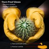 FEISHDEK Leather Gloves Work Gloves Men's Gardening Gloves Thorn Proof