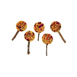 No Furries Delights 100% Organic & All Natural Treat for Rabbit Hamster Guinea Pig Chinchilla Pet Rat Mice, Forage Pops 5pcs