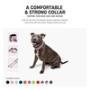 DF Co. Tactical Dog Collar | Comfortable & Secure with