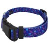 Country Brook Petz - Deluxe Dog Collar - for Durability,