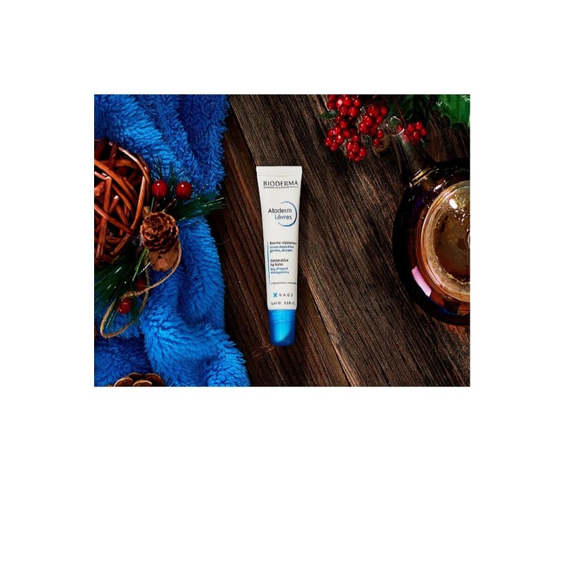 Bioderma Atoderm Levres B 15 ml