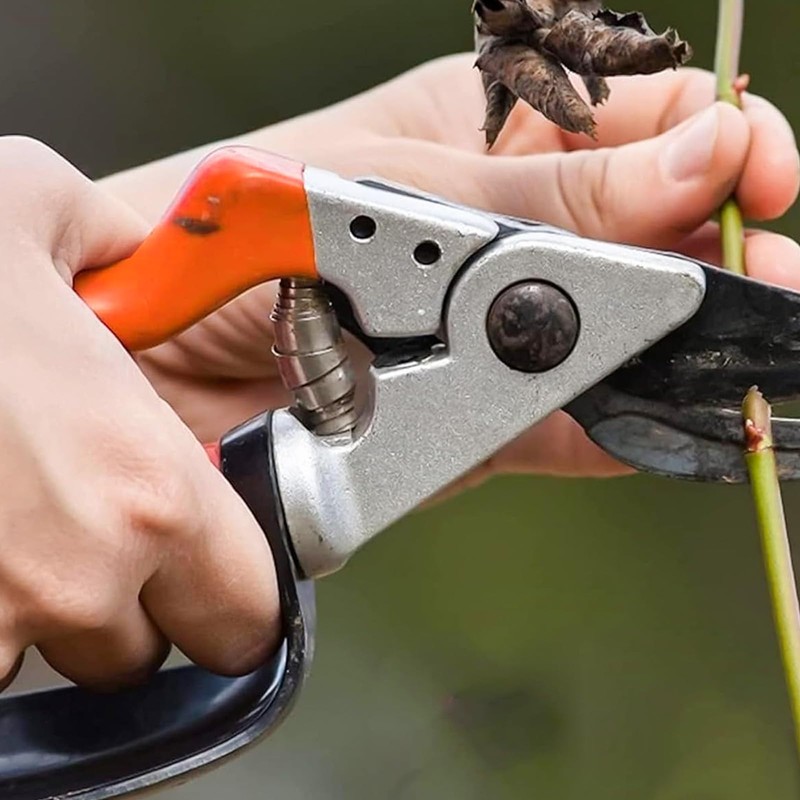 KLEHOPE Pruner Spring 15 Pieces Spring for Pruning Shears, Manganese