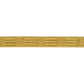 Ruther & Einenkel Border Decoration Ribbon (Zigzag) 10 mm, Gold/Presentation 5 m, Polyester, PE Film, 500 x 1 x 0.1 cm, 5