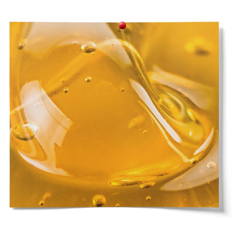 Fermentaholics USDA Certified Organic Honey