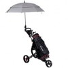 Foldable 3 Wheel Golf Pull Push Cart Trolley - Color: