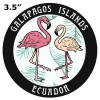 Blue Heron Two Flamingos Galapagos Islands Ecuador Car Truck Window