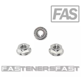 FAS (50)  1/4-20 Stainless Steel Serrated Flange Nuts 304 Stainless Flange Lock Nuts