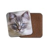 Gorgeous Rag Doll Cat Coaster - Feline Friendly Animals Pets