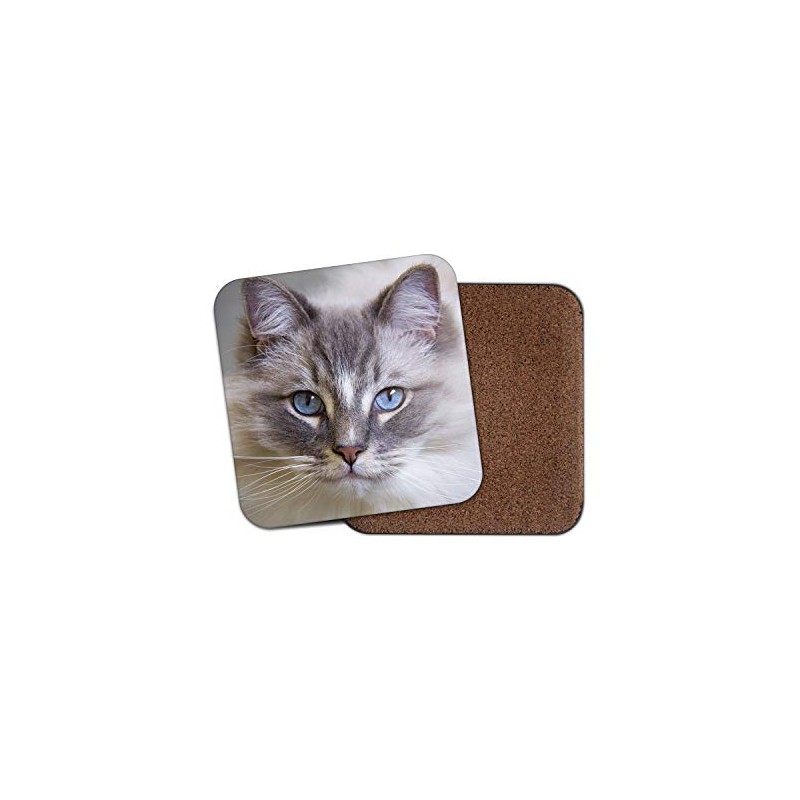 Gorgeous Rag Doll Cat Coaster - Feline Friendly Animals Pets