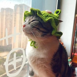 Pet Headgear Cat Hat Hand - Woven Frog - Themed Hat for Head Decoration Suitable for Cats and Dogs for Role - Playing Dress - up (One Size)