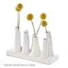 Chive - Pooley 2, Ceramic Flower Vase, 8-Tube Shape (White)
