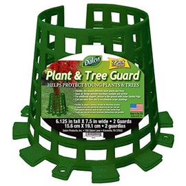 Dalen Products, Inc. PTG2-10 Tree Guard, Green