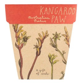 Sow 'n Sow - A Gift Of Seeds - Kangaroo Paw