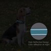 PenSeepet Reflective Dog Collar Padded with Soft Neoprene Breathable Quick