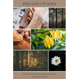 ECO CANDLE CO. Reed Diffuser Set, Precious Woods, 4 oz. - Scents of Smoked Wood, Nutmeg, Musk, & Ylang - Premium Fragrance and Essential Oil Blends, Clear Glass, 12 Reed Sticks, Recycled Kraft Box