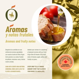 Spanish Extra Virgin Olive Sancho | Aceite de Oliva Virgen Extra Sancho | PET 750ml Variety Cold Extracted Picual & Cornicabra