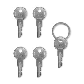 NIIIYTYB 6 Packs CH501 Key Replacement Set Truck Toolbox Lock Latch Keys Tool Box Keys for Truck Toolbox Locks with Latch Compatible Replacement Keys for Tool Boxes and Lock Boxes