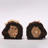 Cool Medjool Dates Twin Pack - Hazelnut Crunch