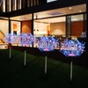 5 Pack Outdoor Solar Garden Lights, Solar Firework Light 600
