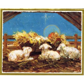 Caspari Manger Scene with Baby Lambs Mini Boxed Christmas Cards 15 Cards and 16 Envelopes