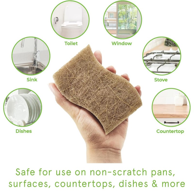 Kandid Eco-Friendly Biodegradable Sponge Set Of 12 Sponges | Coconut