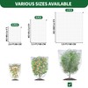 Fruit Tree Netting Bags with Drawstring, Insect Bird Netting Pest
