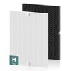 116130 Replacement Filter H for Winix 5500-2 AM80 Plasmawave Air