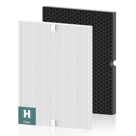 116130 Replacement Filter H for Winix 5500-2 AM80 Plasmawave Air Purifier, Includes 1 Pack Filter H and 1 Pack Activated Carbon Filter