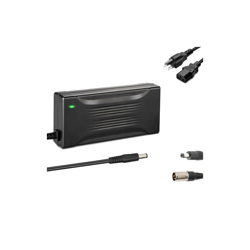 Xietongpo 54.6V 3 amp Battery Chargers for 48V Battery Pack