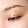 SUQQU School Mono Look Eyes (Laster) L-01 Coat of Arms
