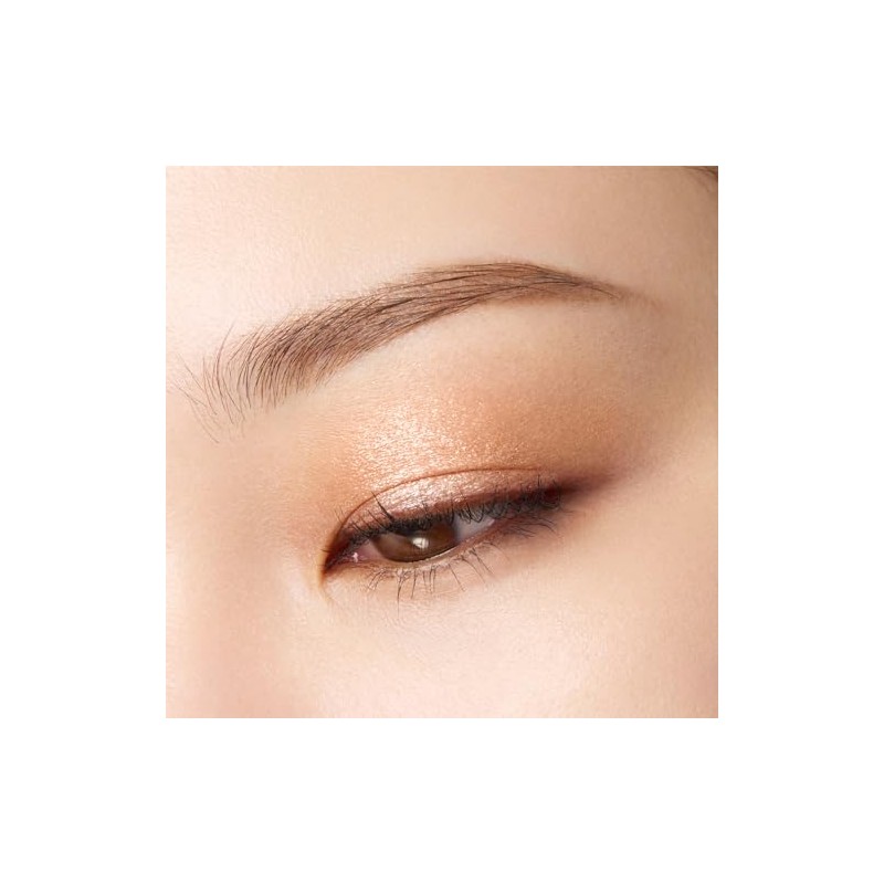 SUQQU School Mono Look Eyes (Laster) L-01 Coat of Arms