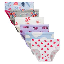 Winging Day Packs of 6 Big Girls Panties Underwear Assorted Styles Size 8