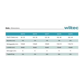 Wiltec Swivel Castor 100 mm up to 150 kg with Plastic Wheel and Mounting Plate Transport Roller Quiet Running Unbraked Furniture Castor