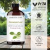 Cinnamon Leaf Essential Oil | 100% Pure and Natural |