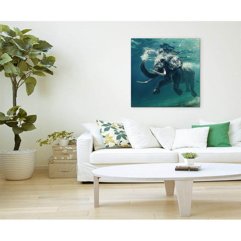 Sinus Art Wall Picture 90 x 90 cm Animal Photography