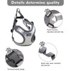 Dog Harness Breathable Vest, Step-in Puppy Harness and Lead Sets,