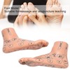 2pcs 19cm / 7.5in Feet Acupoint Model Acupuncture Teaching Aids