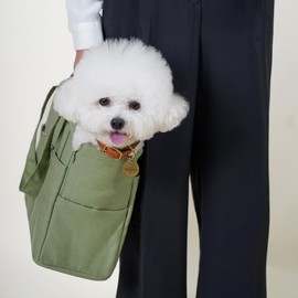 HOWLPOT Day Bag Pet Carrier Dog Puppy Portable Foldable Shoulder Cross Bag Travel Storage Pockets Made in Korea Basil Color (Large)