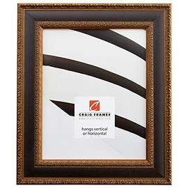 Craig Frames Galerie N, 24x36 Picture Frame, Black & Gold