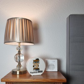 Owl Money Box with Saying "Klugscheißer-Kasse Ideal for Saving for Graduation School or New TV Entertainment Guests