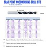Brad Point Wood Drill Bit Set 3/16 Inch 40Pcs Spur