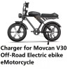coming data 3A ac power supply fast battery Charger For